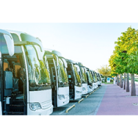 Multiple Vehicles