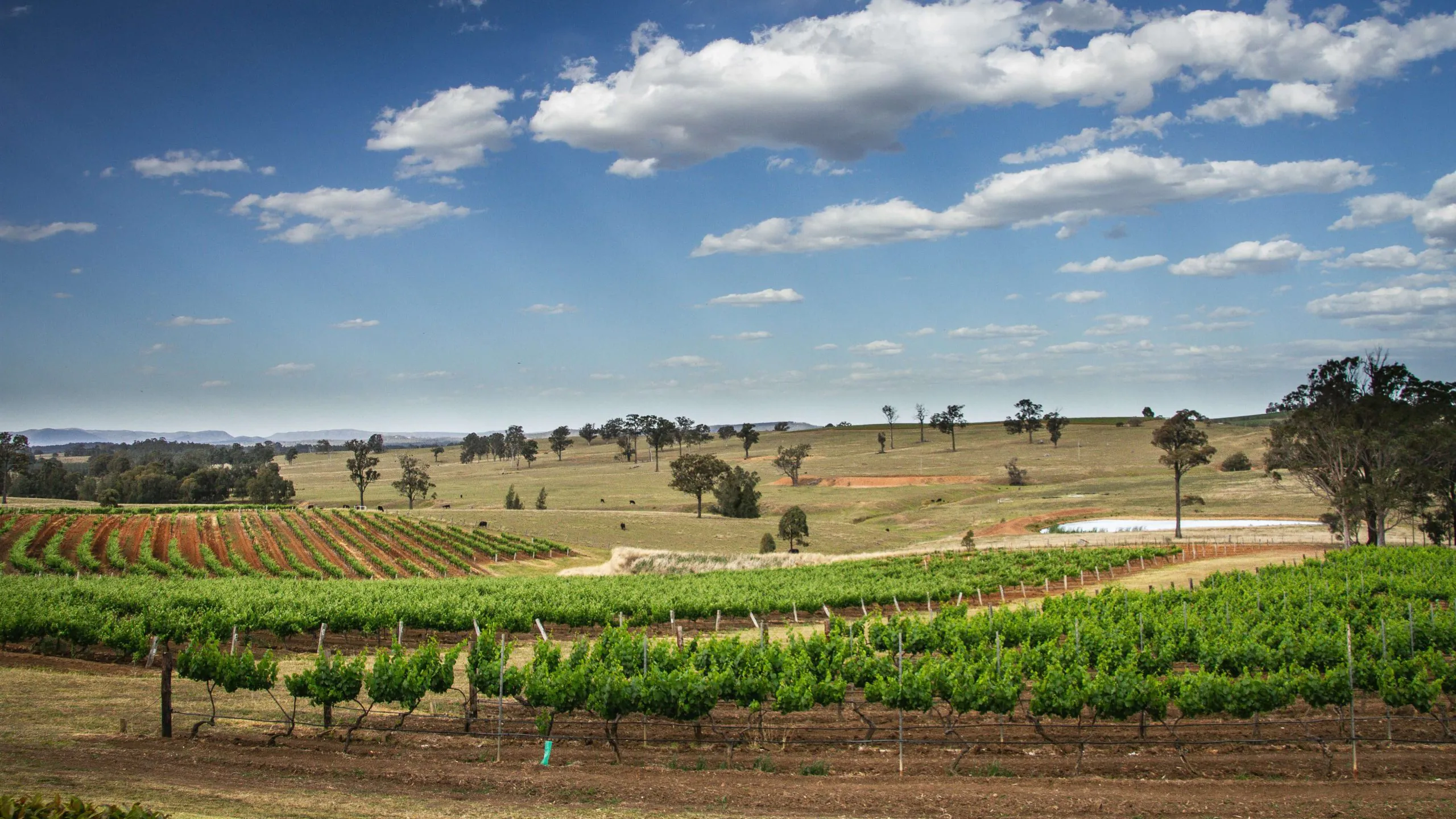 Hunter Valley – A Gastronomic Journey